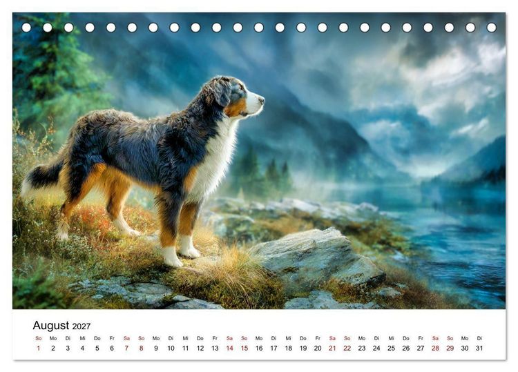 Produktbild: Stolz und Sanftmut - Berner Sennenhunde (Tischkalender 2027 DIN A5 quer), CALVENDO Monatskalender