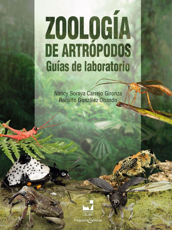 Produktbild: Zoolog&iacute;a de artr&oacute;podos