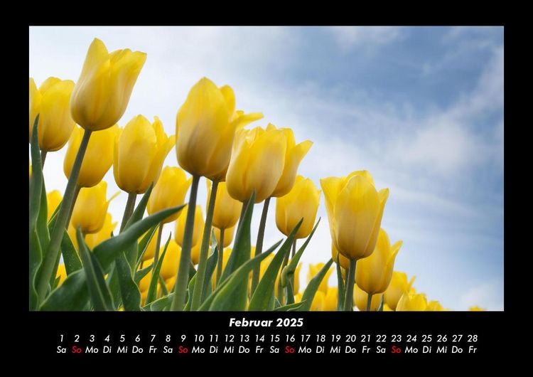 Produktbild: Blumenkalender 2025 Fotokalender DIN A3