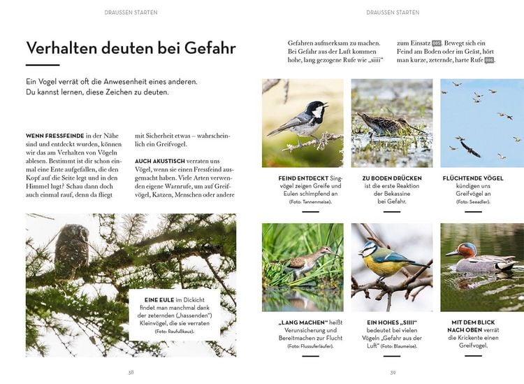 Produktbild: V&ouml;gel beobachten