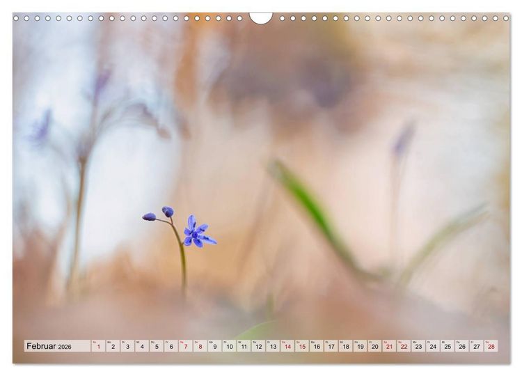 Produktbild: M&auml;rchenwelt der Wildblumen (Wandkalender 2026 DIN A3 quer), CALVENDO Monatskalender