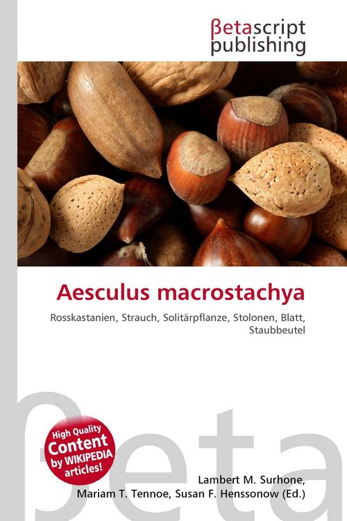 Produktbild: Aesculus macrostachya