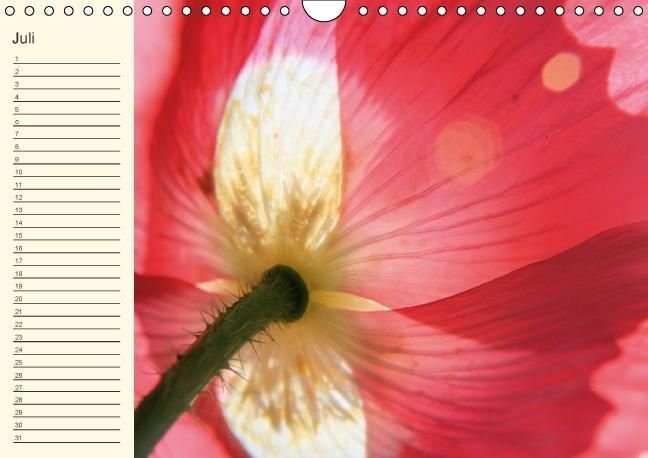 Produktbild: Geburtstagskalender "Nette Kleinigkeiten" (Wandkalender immerw&auml;hrend DIN A4 quer)
