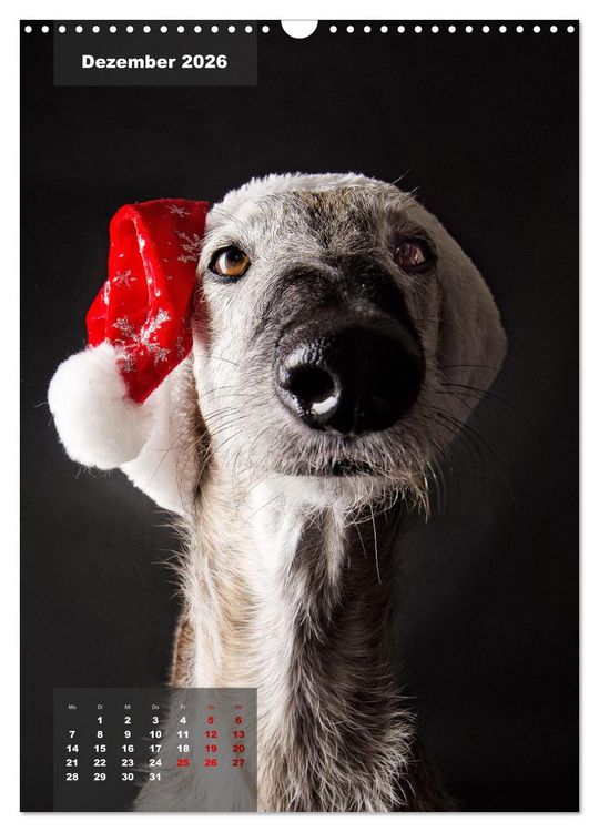 Produktbild: UNDERDOG - Windhundportraits (Wandkalender 2026 DIN A3 hoch), CALVENDO Monatskalender
