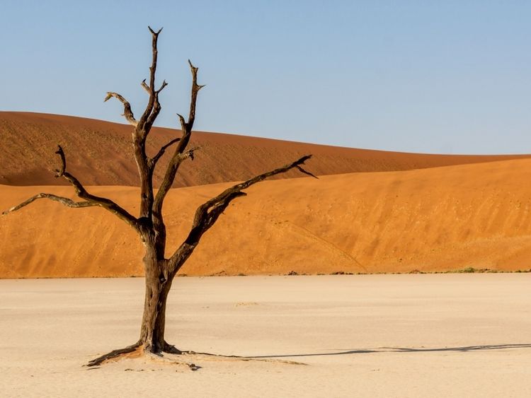 Produktbild: NAMIBIA - SOSSUSVLEI (Puzzle)