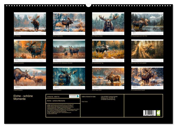 Produktbild: Elche - sch&ouml;ne Momente (Wandkalender 2026 DIN A2 quer), CALVENDO Monatskalender