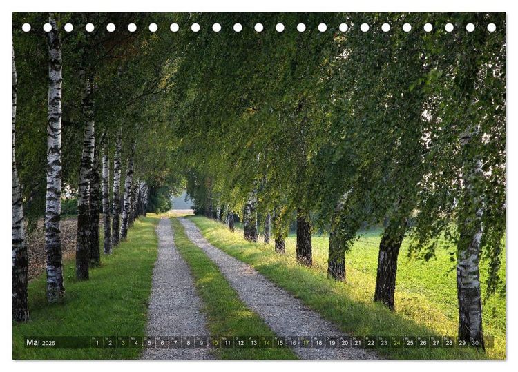 Produktbild: B&auml;ume (Tischkalender 2026 DIN A5 quer), CALVENDO Monatskalender
