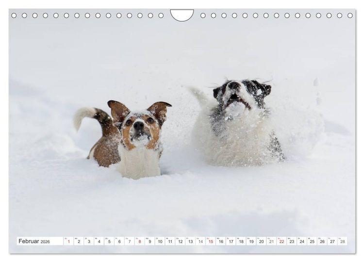 Produktbild: Emotionale Momente: Wild und Jagd. (Wandkalender 2026 DIN A4 quer), CALVENDO Monatskalender