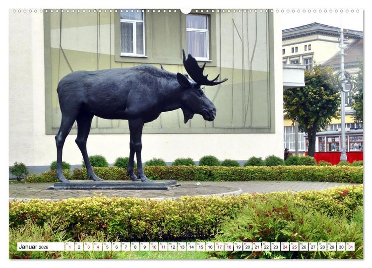 Produktbild: Ostpreu&szlig;ens Elche (hochwertiger Premium Wandkalender 2026 DIN A2 quer), Kunstdruck in Hochglanz