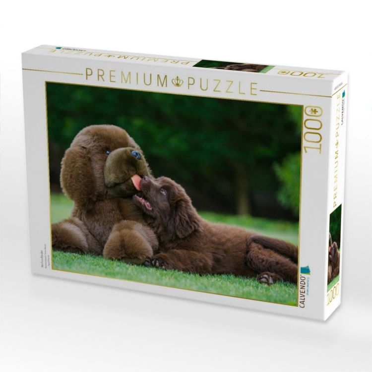 Produktbild: CALVENDO Puzzle Neufundl&auml;nder | 1000 Teile Lege-Gr&ouml;&szlig;e 64x48cm Foto-Puzzle f&uuml;r gl&uuml;ckliche Stunden