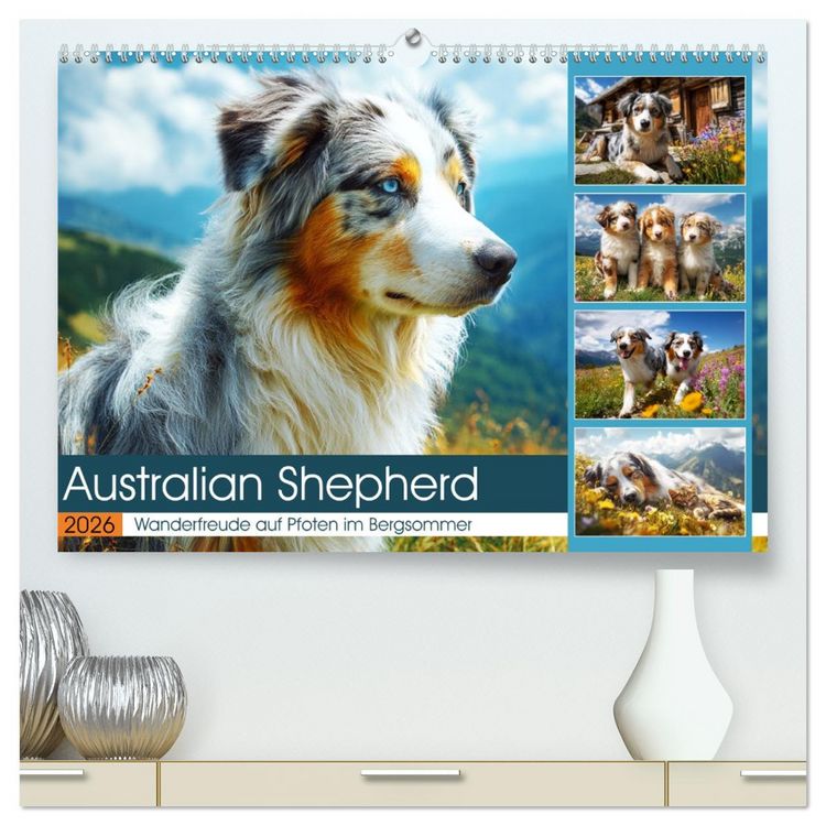 Produktbild: Australian Shepherd. Wanderfreude auf Pfoten im Bergsommer (hochwertiger Premium Wandkalender 2026 DIN A2 quer), Kunstdruck in Hochglanz