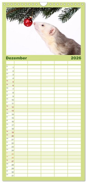 Produktbild: Familienplaner 2026 - Frettchen - Ferrets mit 5 Spalten (Wandkalender, 21 x 45 cm) CALVENDO