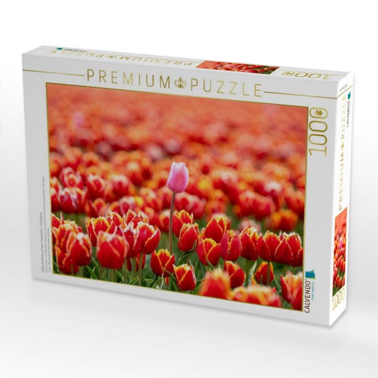 Produktbild: CALVENDO Puzzle Stolze Fehlfarbe auf dem Tulpenfeld in Julianadorp | 1000 Teile Lege-Gr&ouml;&szlig;e 64x48cm Foto-Puzzle f&uuml;r gl&uuml;ckliche Stunden