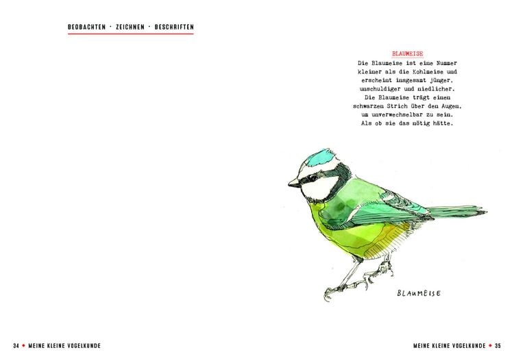 Produktbild: Meine kleine Vogelkunde
