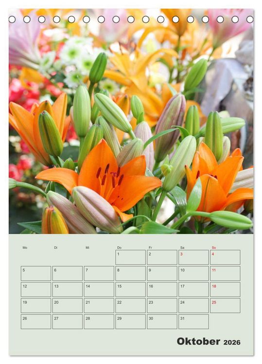 Produktbild: Lilien im Garten (Tischkalender 2026 DIN A5 hoch), CALVENDO Monatskalender