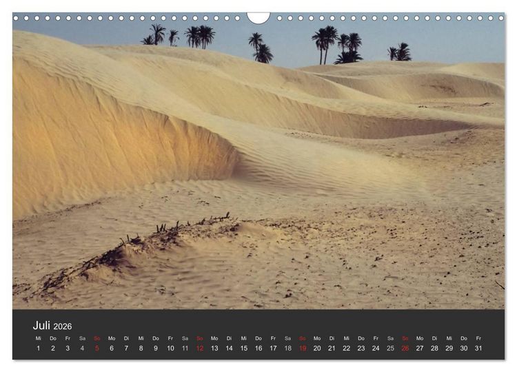 Produktbild: W&uuml;sten, wilde Sch&ouml;nheiten (Wandkalender 2026 DIN A3 quer), CALVENDO Monatskalender