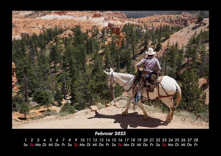 Produktbild: Die Welt der Pferde 2025 Fotokalender DIN A3