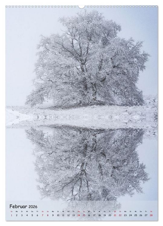 Produktbild: Spiegelb&auml;ume (hochwertiger Premium Wandkalender 2026 DIN A2 hoch), Kunstdruck in Hochglanz