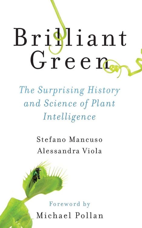 Produktbild: Brilliant Green