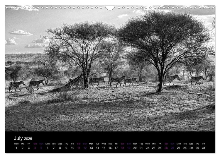 Produktbild: East Africa - Tanzania and Kenya / UK-Version (Wall Calendar 2026 DIN A3 landscape), CALVENDO 12 Month Wall Calendar