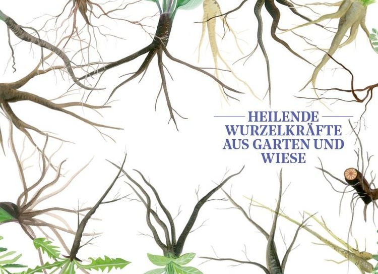Produktbild: Die Kraft der Wurzeln