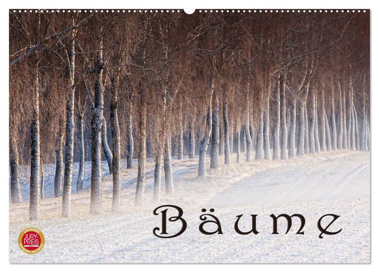 Produktbild: B&auml;ume (Wandkalender 2026 DIN A2 quer), CALVENDO Monatskalender
