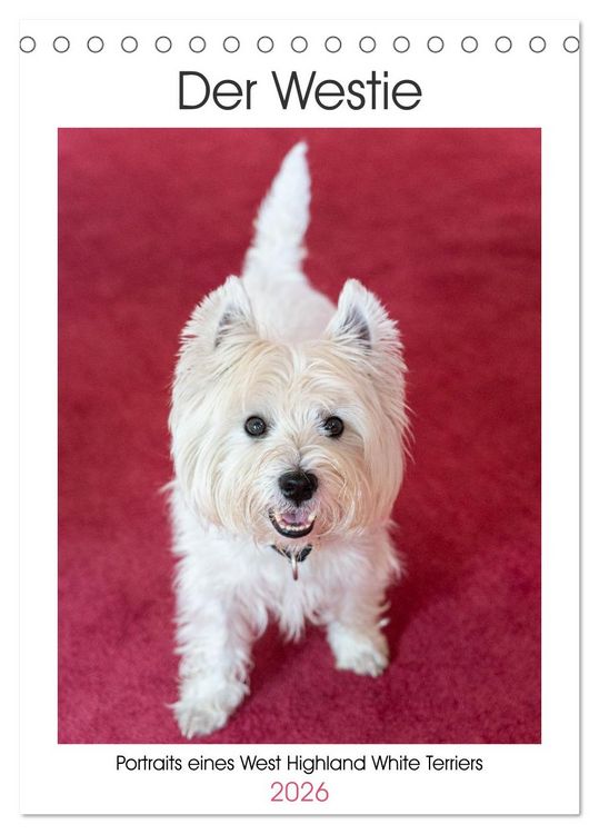Produktbild: Der Westie - Portrait eines West Highland White Terriers (Tischkalender 2026 DIN A5 hoch), CALVENDO Monatskalender