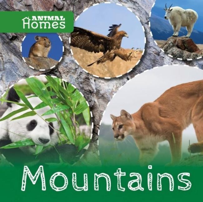 Produktbild: Mountains