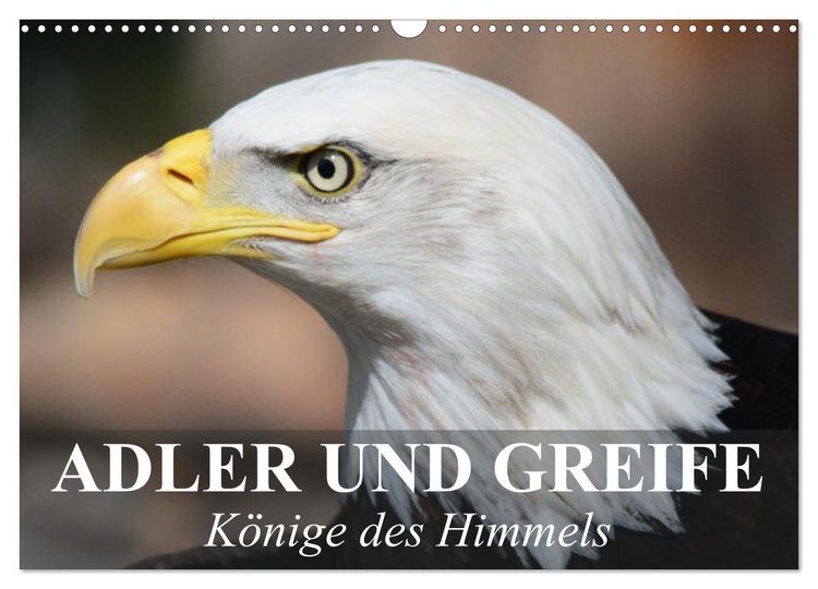 Produktbild: Adler und Greife - K&ouml;nige des Himmels (Wandkalender 2026 DIN A3 quer), CALVENDO Monatskalender