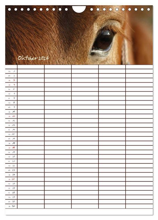 Produktbild: Der Kaltblut-Familienplaner (Wandkalender 2026 DIN A4 hoch), CALVENDO Monatskalender