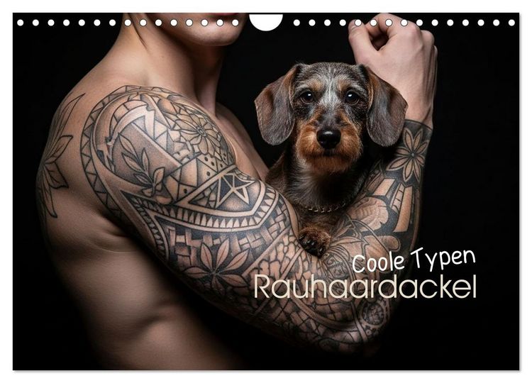 Produktbild: Coole Typen - Rauhaardackel (Wandkalender 2026 DIN A4 quer), CALVENDO Monatskalender