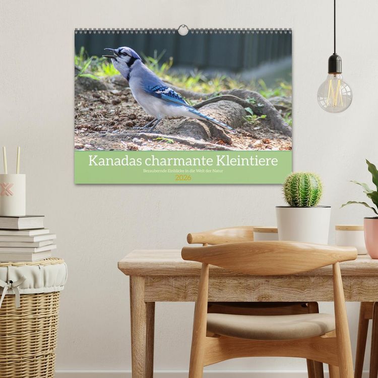 Produktbild: Kanadas charmante Kleintiere - Bezaubernde Einblicke in die Natur (Wandkalender 2026 DIN A3 quer), CALVENDO Monatskalender