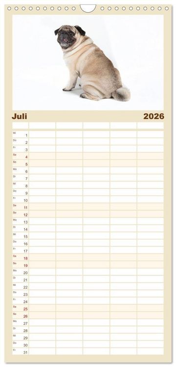 Produktbild: Familienplaner 2026 - Mops - unwiderstehlich und charmant mit 5 Spalten (Wandkalender, 21 x 45 cm) CALVENDO