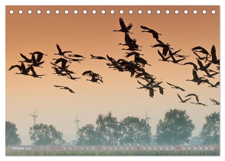 Produktbild: KranichRomantik (Tischkalender 2026 DIN A5 quer), CALVENDO Monatskalender