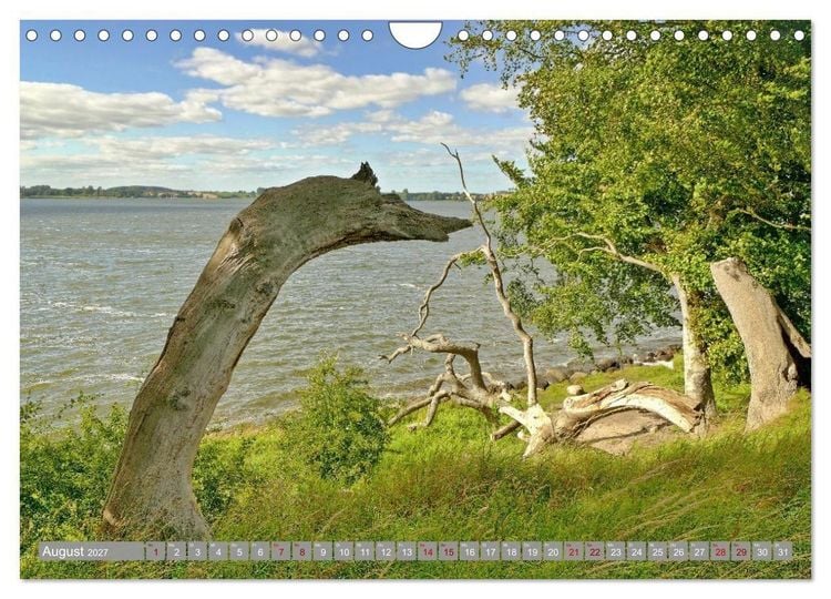 Produktbild: Am sch&ouml;nsten Uferabschnitt der Schlei (Wandkalender 2027 DIN A4 quer), CALVENDO Monatskalender