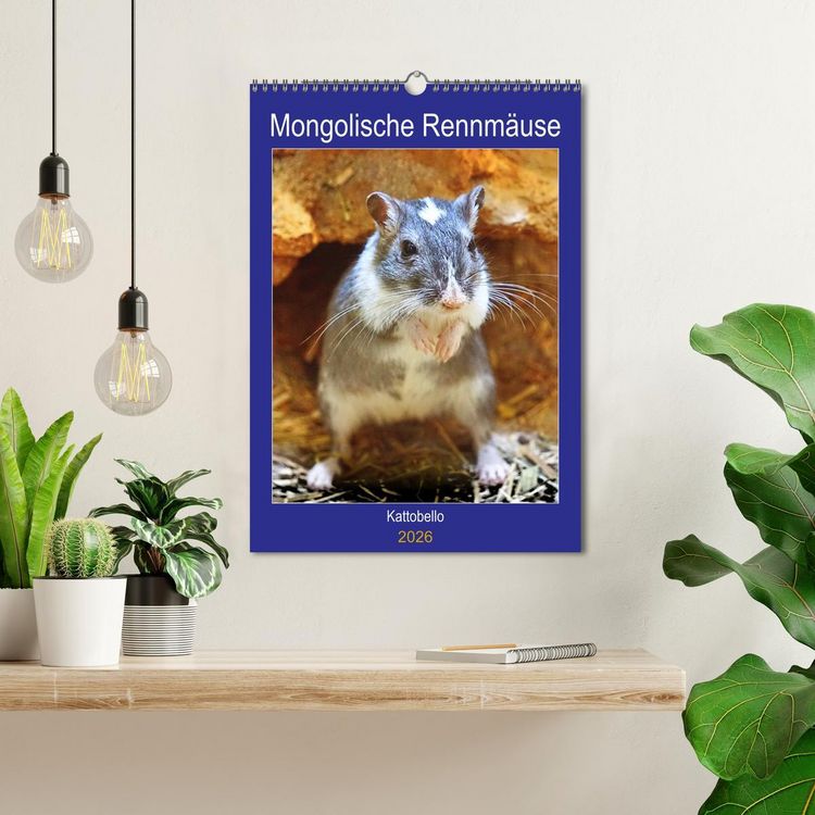 Produktbild: Mongolische Rennm&auml;use (Wandkalender 2026 DIN A3 hoch), CALVENDO Monatskalender