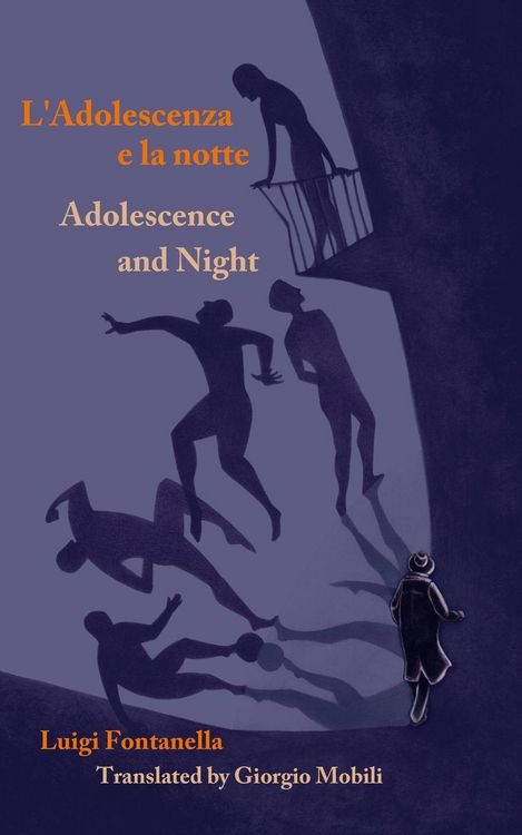 Produktbild: Adolescence and Night/L'adolescenza e la notte