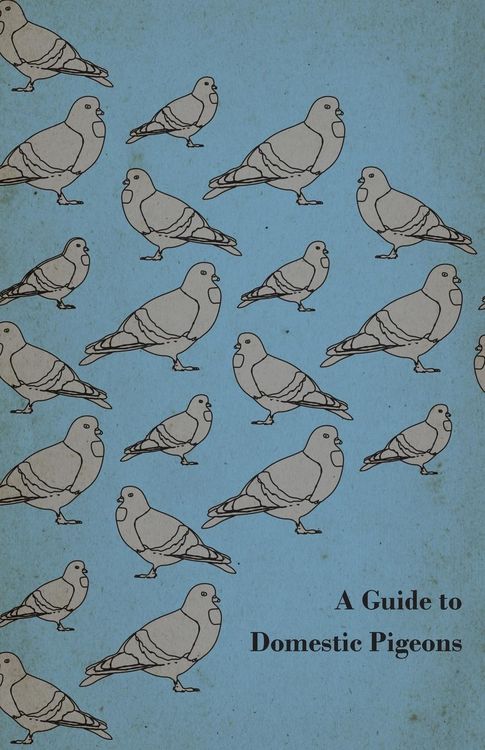 Produktbild: A Guide to Domestic Pigeons - With Chapters on Doves, Training and Their Habits