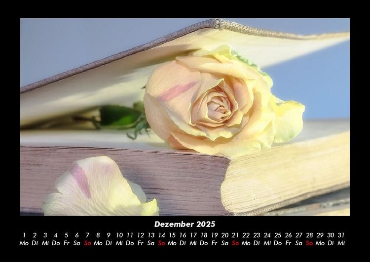 Produktbild: Rosentraum 2025 Fotokalender DIN A3