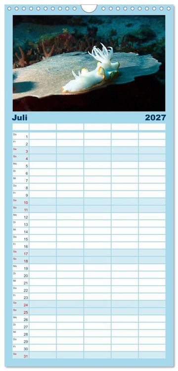 Produktbild: Familienplaner 2027 - Meeres-Schnecken mit 5 Spalten (Wandkalender, 21 x 45 cm) CALVENDO