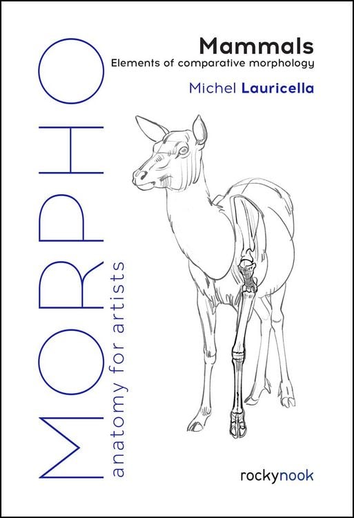 Produktbild: Morpho: Mammals