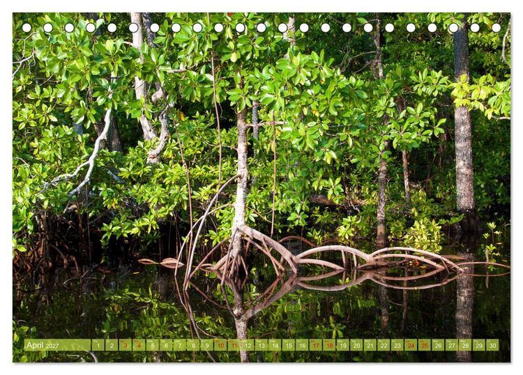 Produktbild: Mangroves - Valuable Habitat (Desk Calendar 2027 DIN A5 landscape), CALVENDO 12 Month DeskCalendar