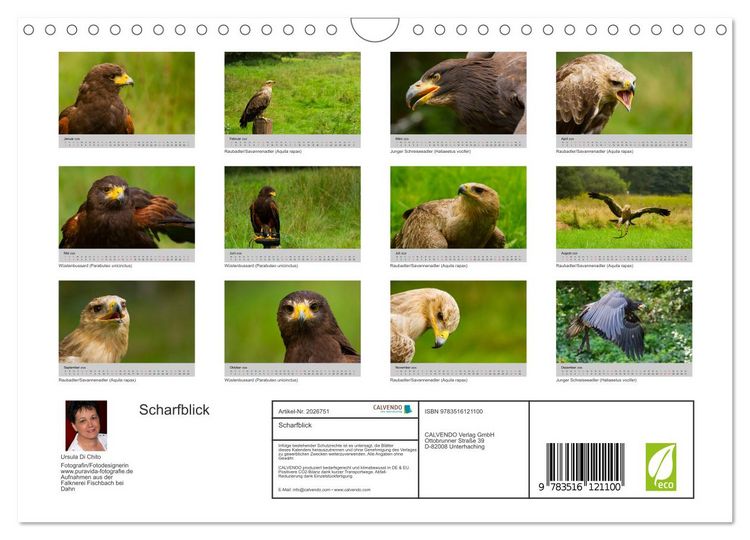 Produktbild: Scharfblick (Wandkalender 2026 DIN A4 quer), CALVENDO Monatskalender
