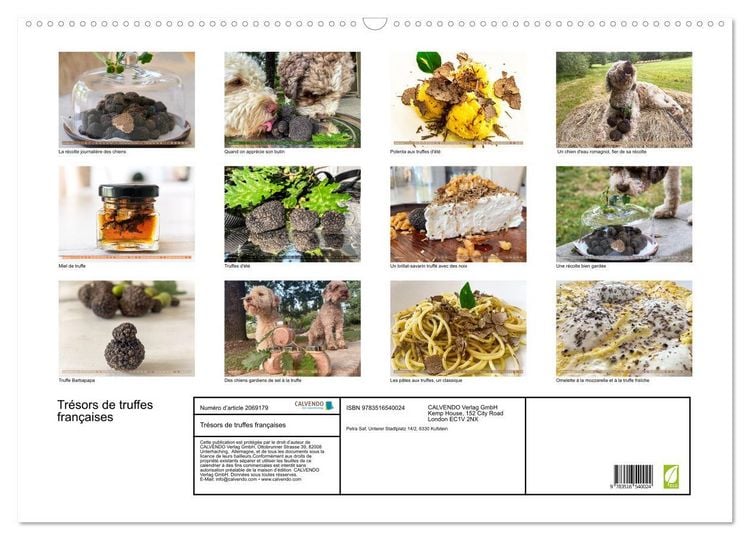 Produktbild: Tr&eacute;sors de truffes fran&ccedil;aises (Calendrier mural 2026 DIN A2 vertical), CALVENDO calendrier mensuel