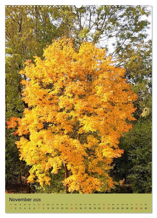 Produktbild: Momente des Herbstes (hochwertiger Premium Wandkalender 2026 DIN A2 hoch), Kunstdruck in Hochglanz