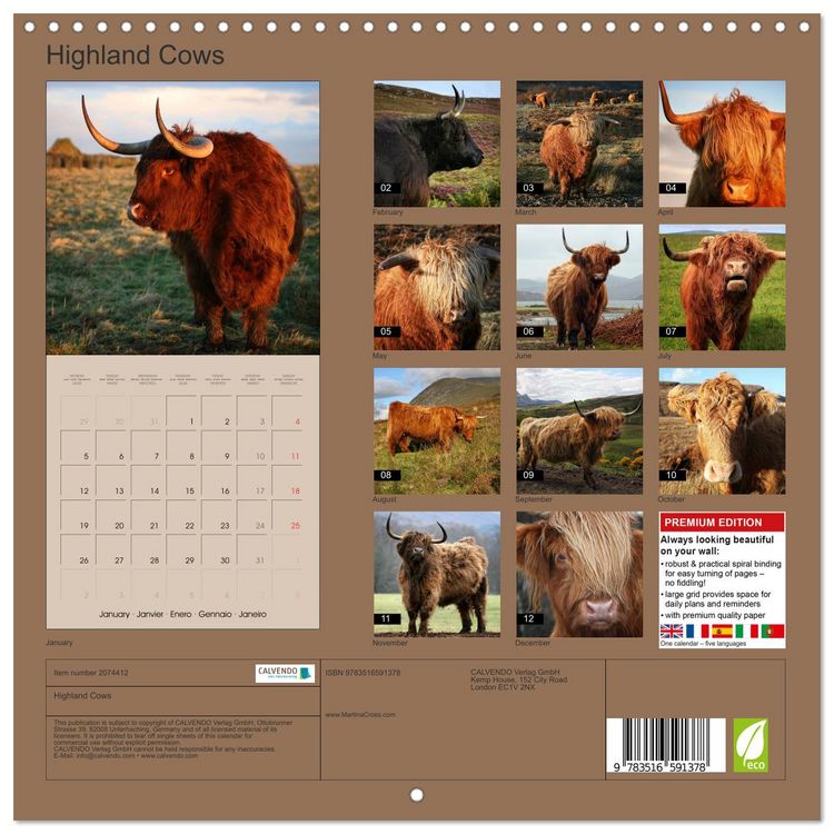 Produktbild: Highland Cows (Wall Calendar 2026 12 &times; 12 Inch) CALVENDO 12 Month Wall Calendar