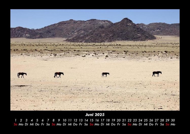 Produktbild: Pferde Kalender 2025 Fotokalender DIN A3