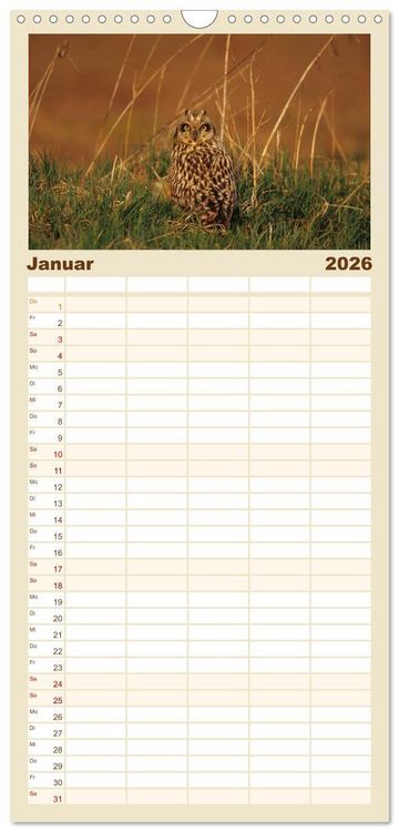 Produktbild: Familienplaner 2026 - Heimische Eulen und Greife mit 5 Spalten (Wandkalender, 21 x 45 cm) CALVENDO