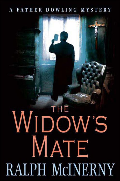 Produktbild: The Widow's Mate