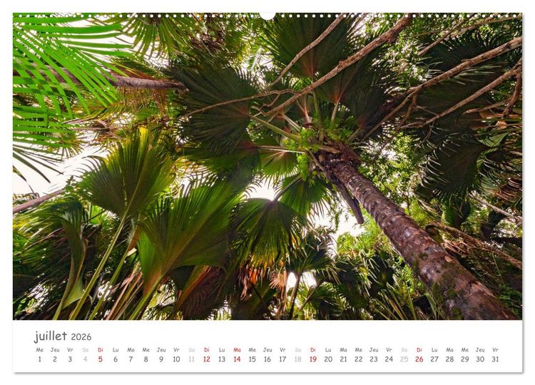 Produktbild: Paysages des Seychelles (Calendrier mural 2026 DIN A2 vertical) calendrier de bureau